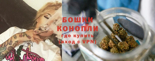 бошки Гусиноозёрск