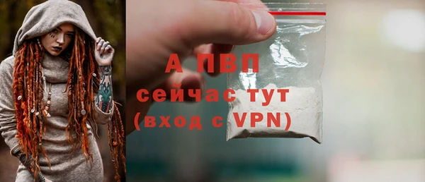 соль ск Гусев