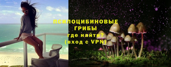 соль ск Гусев