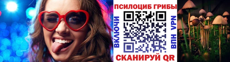 Псилоцибиновые грибы Cubensis  цены   Гусиноозёрск 